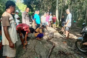 Bi kịch kinh hoàng ở thiên đường du lịch Đông Nam Á, tìm thấy nạn nhân trong bụng con trăn dài 9m
