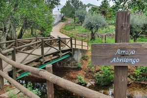 Cây cầu xuyên quốc gia ngắn nhất trên thế giới: Nơi có thể 'du hành thời gian'