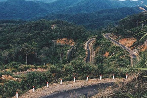 Khánh Hòa kêu gọi đầu tư du lịch sinh thái tại khu bảo tồn hơn 19.000ha