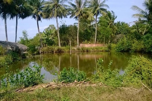 Hộ dân chuyển đất nông nghiệp sang đất ở có thể ‘thoát’ gánh nặng tiền tỷ theo đề xuất mới