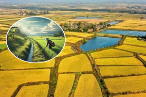 Đề xuất giảm 70% tiền chuyển đất nông nghiệp sang đất ở