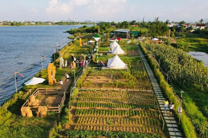 Nông trại giáo dục bị phạt vì lấn đất công ích, chính quyền cảnh báo thu hồi đất