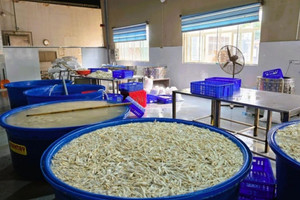 Phát hiện gần 7 tấn chân gà ngâm hóa chất tại kho đông lạnh ở Thanh Hoá