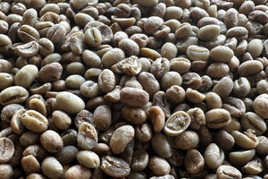 Bất ngờ một quốc gia ở châu Mỹ chi tiền gấp 87 lần mua cà phê Việt Nam