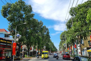 Một phường ở TP. HCM lên phương án đổi tên 37 khu phố trùng lặp