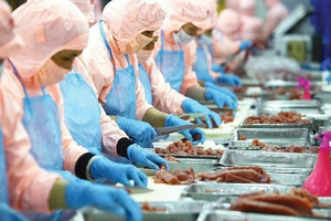 Ngành hàng 10 tỷ USD của Việt Nam lọt Top 2 tại Brazil, một công ty niêm yết đánh trận đầu