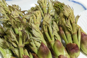 Việt Nam có loại rau mọc dại, ví như 'cao lương mỹ vị số 1 thế giới' được săn lùng khắp châu Á