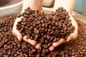 Cú bứt tốc kỳ lạ của cà phê Việt Nam tại một quốc gia giàu có ở Bắc Mỹ: Tăng trưởng 8.600% nửa đầu năm