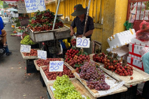 Trái cây đồng loạt rớt giá, người mua vui vì rẻ nhà vườn rầu vì lỗ