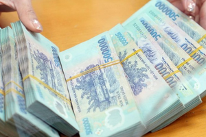 Truy tố nữ Giám đốc điều hành 2 doanh nghiệp