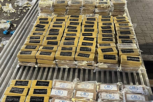 Phát hiện hơn 800kg cocaine trị giá 4.000 tỷ đồng giấu trong lô chuối nhập khẩu, khẩn cấp thu giữ toàn bộ container