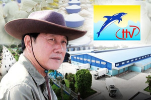 Thủy sản Hùng Vương (HVG) 'ôm' khối nợ 2.500 tỷ tại Vietcombank, BIDV trước khi dừng công bố BCTC