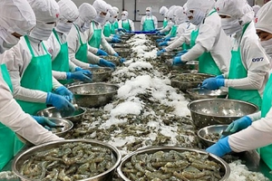 'Kho báu dưới nước' của Việt Nam hút Trung Quốc rót 1,1 tỷ USD, vươn lên vị trí khách hàng số 1