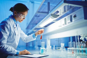 Một thị trường đầy tiềm năng của Việt Nam được dự báo đạt 12,12 tỷ USD vào năm 2029