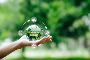 Phó Chủ tịch EuroCham: Tín chỉ carbon là tranh Van Gogh thời hiện đại, biết kể chuyện mới bán được giá