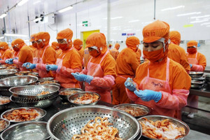 Lần đầu tiên sản xuất thành công tại Việt Nam, ‘vũ khí’ mới của ngành kinh tế tỷ đô