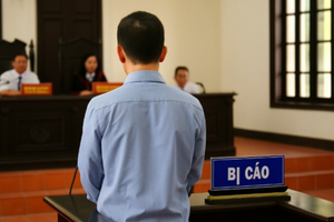 Tuyên án tù chung thân một giám đốc công ty bất động sản