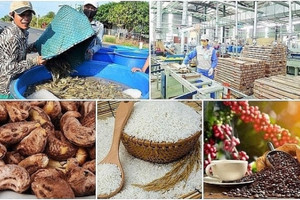 Kim ngạch xuất khẩu nông sản chủ lực của Việt Nam tăng vọt 60%
