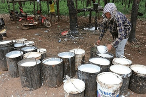 Nửa năm, Việt Nam chi 1,4 tỷ USD nhập khẩu 'vàng trắng', trong đó có 309 nghìn tấn từ Campuchia