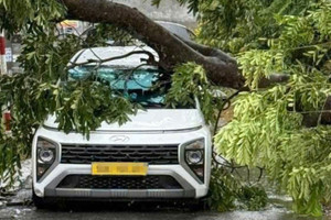 Nhiều cây xanh ngã đổ, đè cả vào ô tô trong mưa giông lớn ở TPHCM