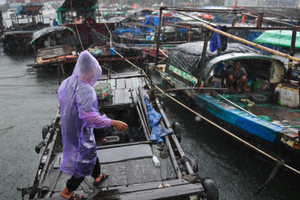Quảng Ninh mưa gió mịt mù, cảnh sát gọi loa thuyết phục ngư dân rời thuyền
