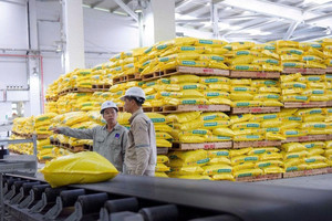 DPM tăng mạnh 45%, Đạm Phú Mỹ chốt thưởng cổ phiếu tỷ lệ cao