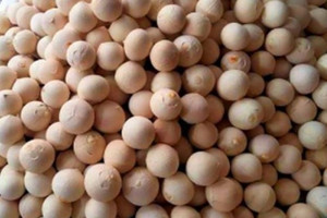 Loại trái cây bình dân đang tạo nên 'cơn địa chấn' cho nông nghiệp Việt khi Mỹ và Trung Quốc cùng mở cánh cửa nhập khẩu chính ngạch