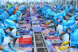 Trung Quốc bất ngờ gom mạnh, mặt hàng thủy sản chủ lực của Việt Nam tăng giá kỷ lục