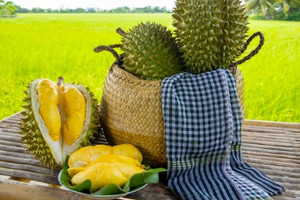 Sầu riêng kéo xuất khẩu rau quả tăng mạnh sau 5 tháng lao dốc