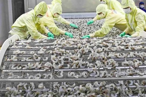Một 'mỏ vàng dưới nước' vừa giúp Việt Nam thu về hơn 2 tỷ USD: Trung Quốc, Nhật Bản đua nhau chốt đơn, nước ta trở thành 'ông trùm' thứ 2 thế giới