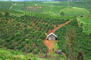 Từ bây giờ, đất nông nghiệp được phép kết hợp nhiều mục đích mà không cần chuyển đổi
