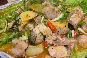 Loại cá 'kỳ lạ' gần như không có vảy, thịt giòn sần sật được dân sành ăn 'săn lùng' ráo riết: Giá đắt đỏ vẫn được săn đón