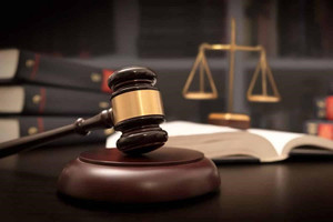 Tuyên phạt 12 năm tù cựu cán bộ công an từng có 2 tiền án