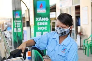 Bán xăng sinh học E10: Cần tránh 'vết xe đổ' như xăng E5