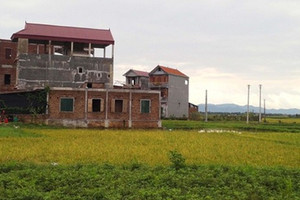 Từ giờ, xây nhà trái phép trên đất nông nghiệp sẽ bị xử phạt nghiêm khắc