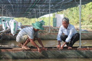 ‘Kho báu ngầm’ giúp Việt Nam thu hơn 300 triệu USD trong nửa đầu năm, được Hàn, Trung đua nhau chốt đơn