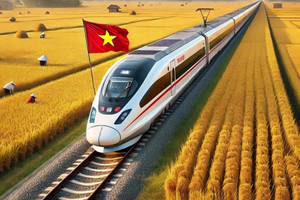 Thành phố giàu nhất Việt Nam 'kể tên' 4 lĩnh vực tiềm năng với các nhà đầu tư Trung Quốc