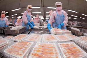 Vượt mặt Trung Quốc, Na Uy: Việt Nam vươn lên top 3 nhà cung ứng thuỷ sản lớn nhất tại đảo quốc sư tử