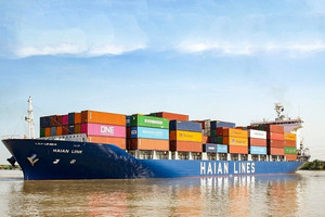 Công ty sở hữu đội tàu container lớn nhất Việt Nam chốt trả cổ tức tỷ lệ 40%