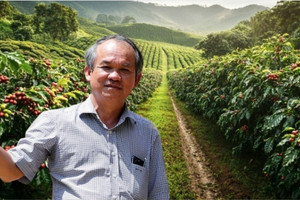 Đặt cược vào thị trường Trung quốc, Hoàng Anh Gia Lai (HAG) của bầu Đức rót 3.300 tỷ trồng cà phê, dâu tằm