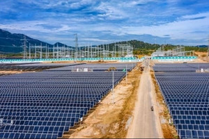 Điện mặt trời Trung Nam Thuận Nam báo lãi trở lại sau năm 2023 lỗ kỷ lục 1.000 tỷ