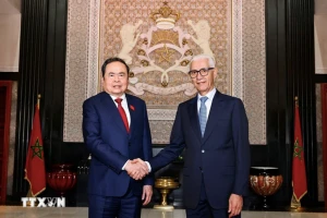 Việt Nam đề nghị Morocco hợp tác sản xuất và xuất khẩu chung