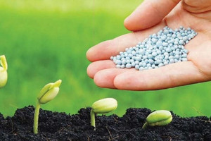 Đạm Phú Mỹ (DPM) 'trình làng' phân bón sử dụng công nghệ Tây Ban Nha