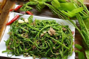 Loại rau 'quê mùa' ngày nào nay thành đặc sản đắt khách, ai ăn cũng nhớ: Giá tới 90.000 đồng/kg, vào thực đơn nhà hàng