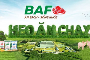 BAF lãi kỷ lục 196 tỷ đồng trong quý II/2025, tăng trưởng 445%