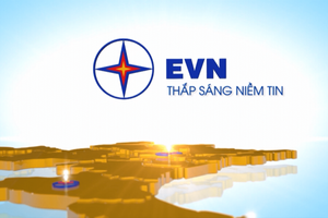 EVN công bố BCTC năm 2024, bất ngờ với số nợ vay 324.000 tỷ đồng