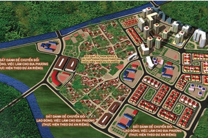 Thanh tra Chính phủ sẽ trực tiếp thanh tra 4 dự án trên địa bàn TP. Hà Nội của HUD