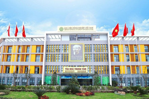 Ngành học gắn liền với ngành hàng hàng chục tỷ đô, điểm chuẩn từ 16 điểm: Tốt nghiệp doanh nghiệp săn đón, lương tới 200 triệu/tháng