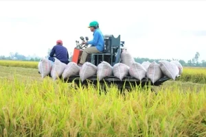 Thứ trưởng Nông nghiệp lo nông sản Việt 'vấp' ở thị trường lớn