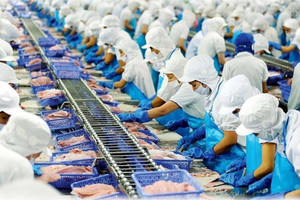Thủy sản IDI lãi tăng bằng lần, vì sao cổ phiếu vẫn dưới mệnh giá?